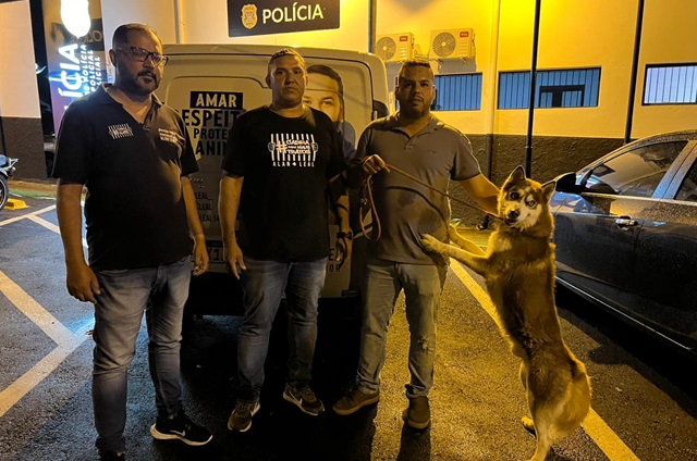 Cachorro resgatado em Sumaré